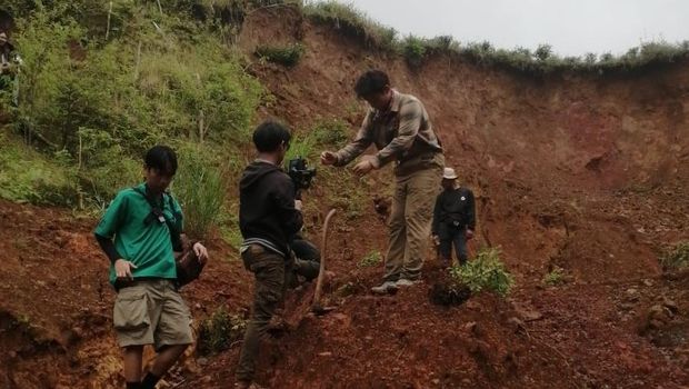 Menanam kopi di lahan rawan longsor Menanam kopi di lahan rawan longsor