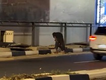 Polisi Tangkap Rayap Besi Curi Penutup Drainase di Terowongan Pelita Batam