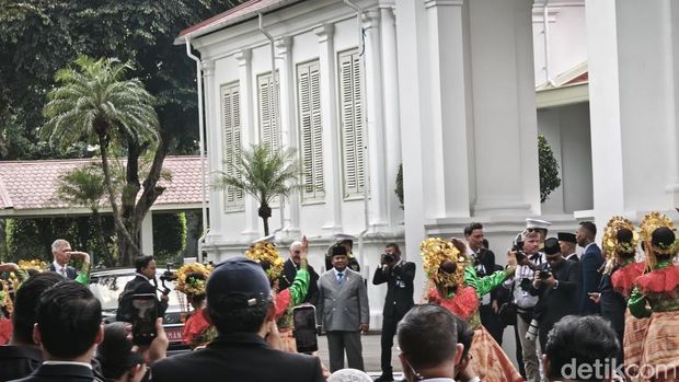 Prabowo terima kunjungan Presiden Jerman di Istana (Rolando Fransiscus/detikcom)