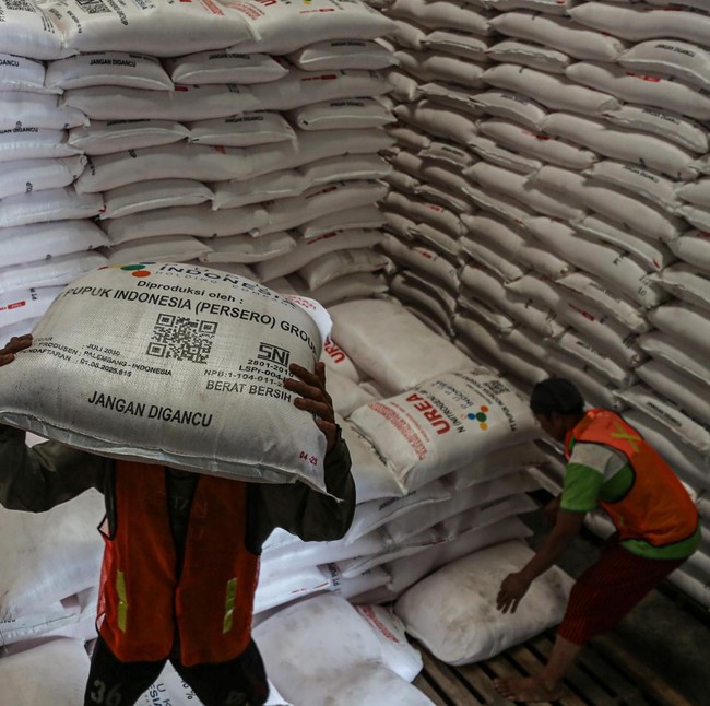Penyaluran Pupuk Subsidi Capai 4,3 Juta Ton