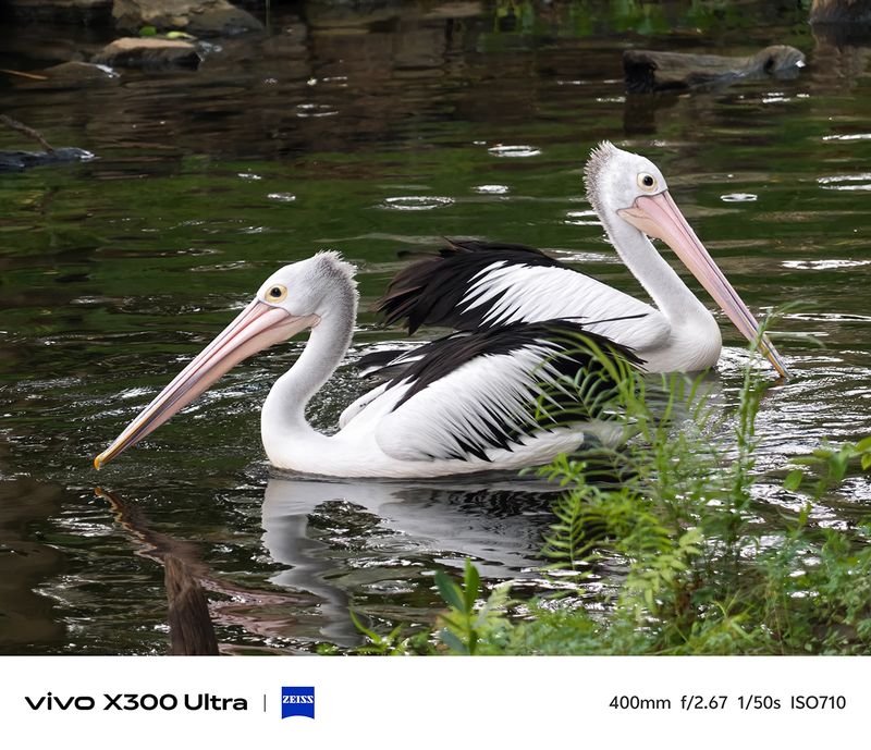 Review Vivo X300 Ultra
