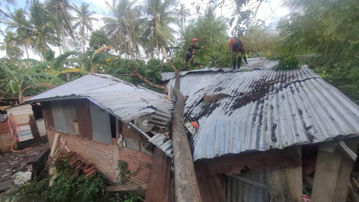 Rumah warga rusak tertimpa pohon tumbang di Sidrap.