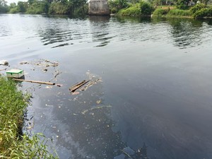 DLHK Banten Ungkap Biang Kerok Bikin Air di Sungai Ciujung Menghitam