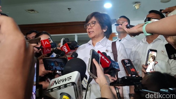 Wakil Kepala Badan Gizi Nasional (BGN) Agustina Arumsari