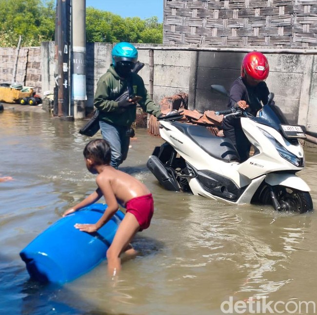 Banjir Rob Merendam Kawasan Pesisir Sidoarjo