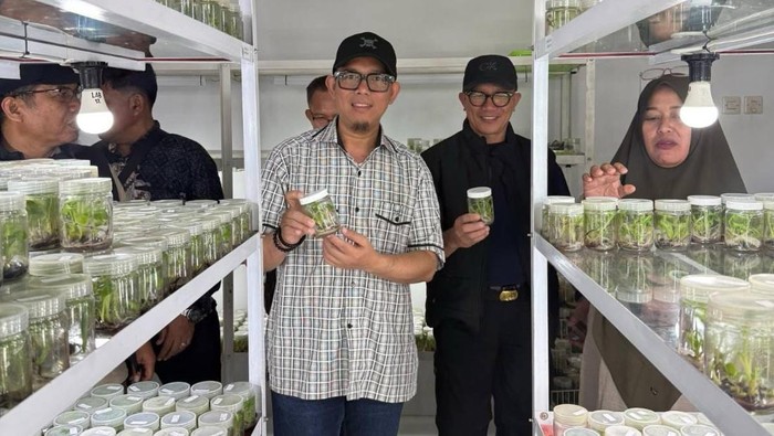 Bupati OKU melihat pengembangan bibit tanaman dengan teknologi kultur jaringan di Yogyakarta