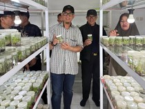 Bupati OKU Ingin Durian-Duku Khas Daerah Dikembangkan Lewat Kultur Jaringan