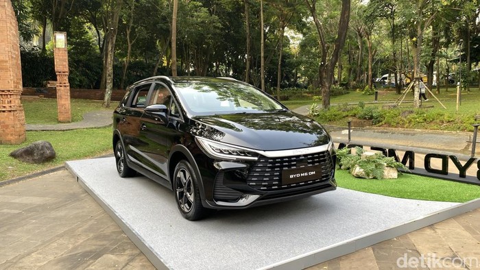 BYD M6 DM