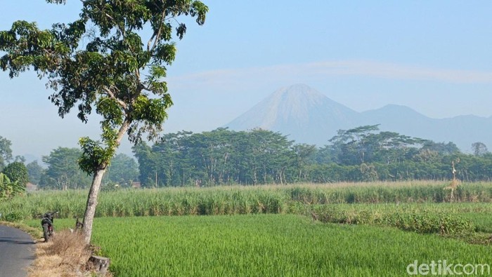Gunung Semeru erupsi