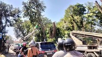 Ternyata kemacetan tersebut dipicu adanya pekerjaan perantingan pohon yang dilakukan petugas sejak pukul 08.00 WIB. Sejumlah kendaraan operasional dan petugas tampak berada di lokasi untuk memangkas ranting-ranting pohon yang menjulur ke area jalan.