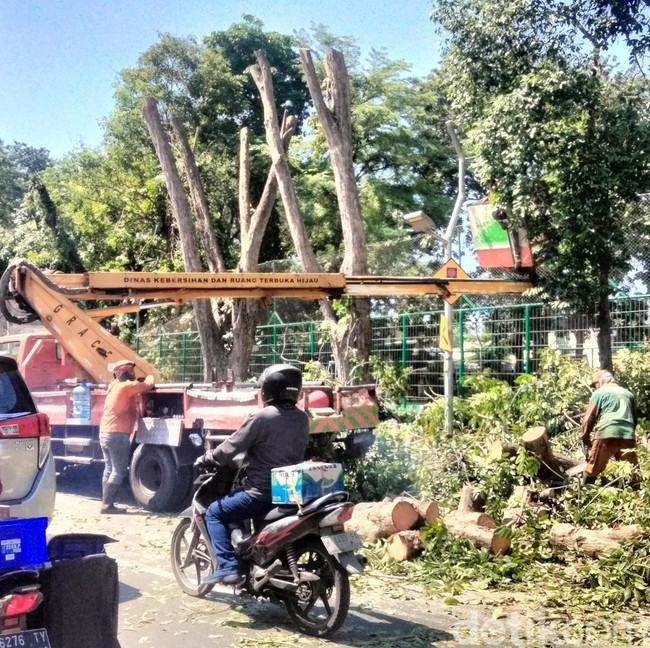 Hindari Jalan Gunungsari, Ada Perantingan di Taman Ronggolawe