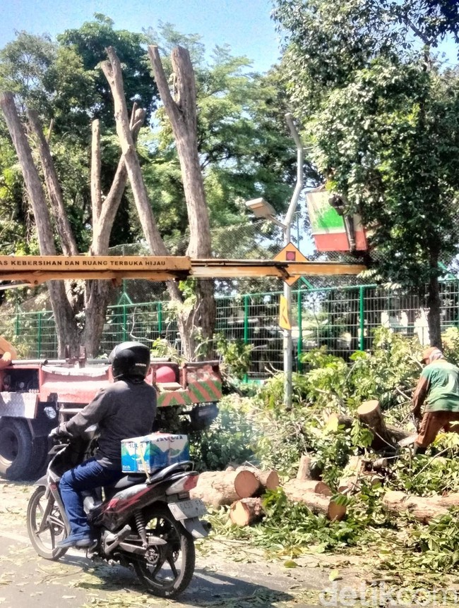 Hindari Jalan Gunungsari, Ada Perantingan di Taman Ronggolawe