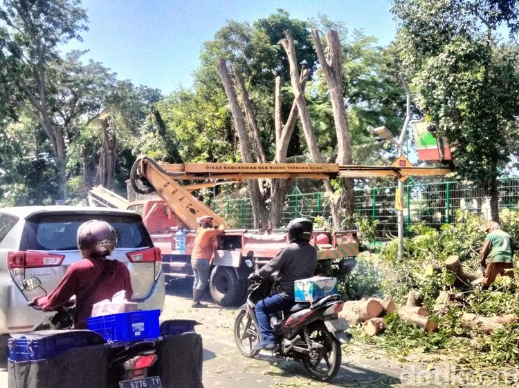 Hindari Jalan Gunungsari, Ada Perantingan di Taman Ronggolawe