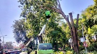 Berdasarkan pantauan di lokasi, kepadatan kendaraan terjadi dari arah Jalan Gunungsari menuju Taman Ronggolawe.