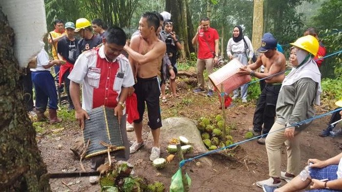 Masyarakat Dayak di Desa Riam dan Desa Panahan, Kecamatan Arut Utara (Aruta), Kabupaten Kotawaringin Barat memperlihatkan durian hasil menyandau semalam. (Istimewa/Dokumentasi pribadi warga)