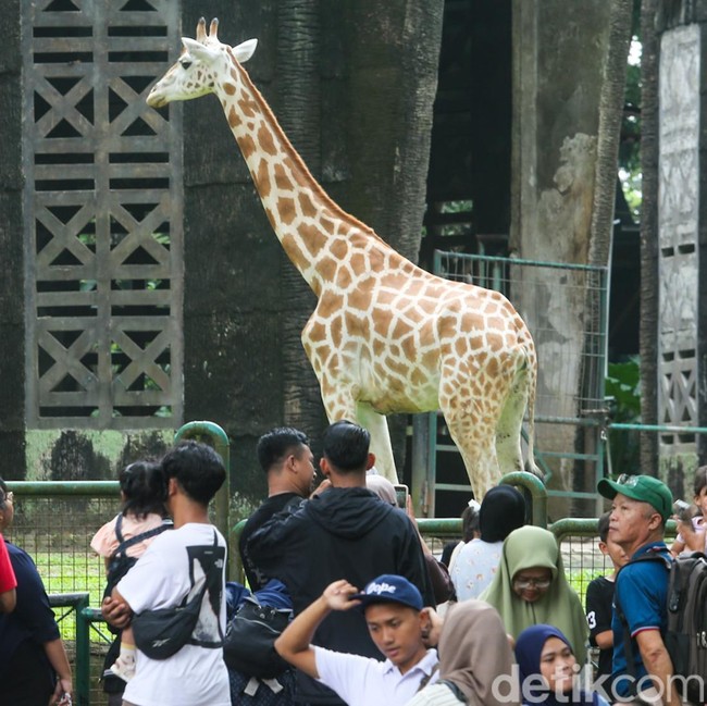 Ragunan Jadi Magnet Pengunjung Saat Libur Tahun Baru Hijriah