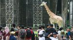 Ragunan Jadi Magnet Pengunjung Saat Libur Tahun Baru Hijriah