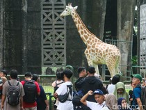 Ragunan Jadi Magnet Pengunjung Saat Libur Tahun Baru Hijriah