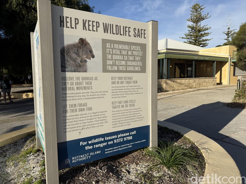 Rottnest Island, Australia Barat