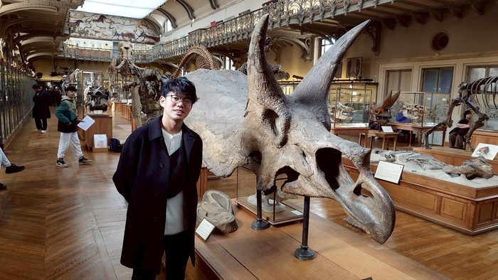 Tengkorak Triceratops yang mengagumkan, dengan rongga hidungnya yang sangat besar terlihat di bagian depan.