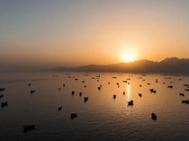 Dunia Hari Ini: Kesepakatan Perdamaian Tercapai, Selat Hormuz Segera Dibuka