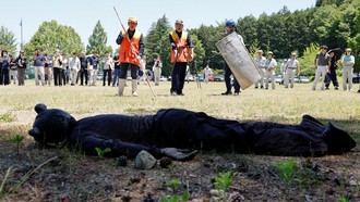 Waspada Beruang Masuk Permukiman, Tokyo Tertibkan Bantaran Sungai