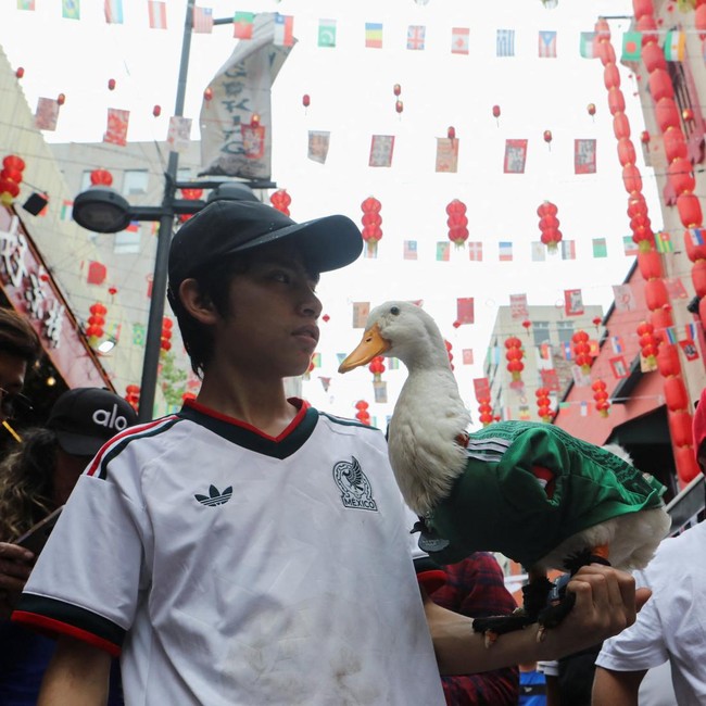 Bak Maskot Piala Dunia, Bebek El Tri Ini Jadi Idola Baru Warga Meksiko