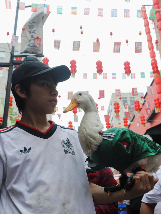 Bak Maskot Piala Dunia, Bebek El Tri Ini Jadi Idola Baru Warga Meksiko
