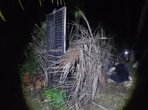 Beruang Muncul di Kebun Warga Tanggamus, BKSDA Pasang Kandang Jebak