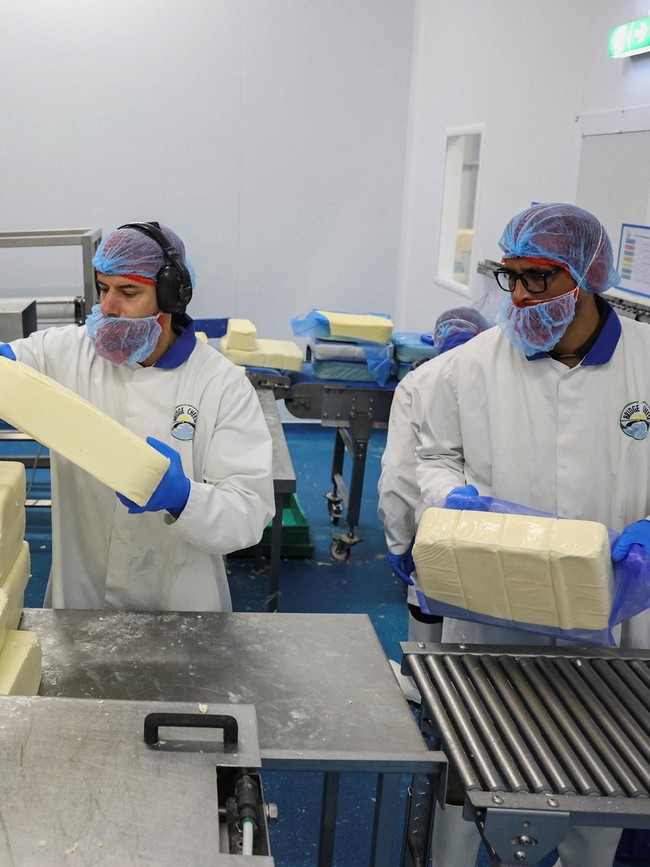 Dari Balok hingga Keju Parut, Intip Proses Produksi Keju Skala Industri di Inggris