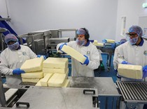Dari Balok hingga Keju Parut, Intip Proses Produksi Keju Skala Industri di Inggris