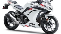 Bangkit dari Kubur! Kawasaki 'Ninja 250 FI' Jadul Dihidupkan Lagi
