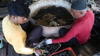 Petani menyiapkan bibit kepiting soka untuk dibudidayakan di pesisir Banda Aceh, Aceh, Rabu (17/6/2026). ANTARA FOTO/Irwansyah Putra