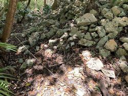 Hanya Mata Jeli yang Bisa Menemukan Sosok di Foto Penampakan Ini