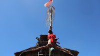 Seorang pria Suku Dayak Bidayuh memperagakan atraksi panjat bambu terbalik. Atraksi yang menampilkan ketangkasan, kekuatan fisik, dan keseimbangan tersebut menjadi salah satu bagian dari rangkaian perayaan adat sebagai wujud pelestarian budaya masyarakat Dayak Bidayuh.