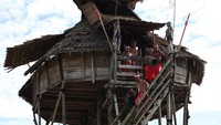 Sejumlah warga Suku Dayak Bidayuh menuruni tangga Rumah Baluk atau rumah adat Dayak Bidayuh saat Gawai Nyobeng atau Nibakng.