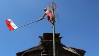 Seorang pria Suku Dayak Bidayuh mengayunkan tongkat bendera setelah berhasil mencapai puncak bambu usai beratraksi panjat bambu terbali.