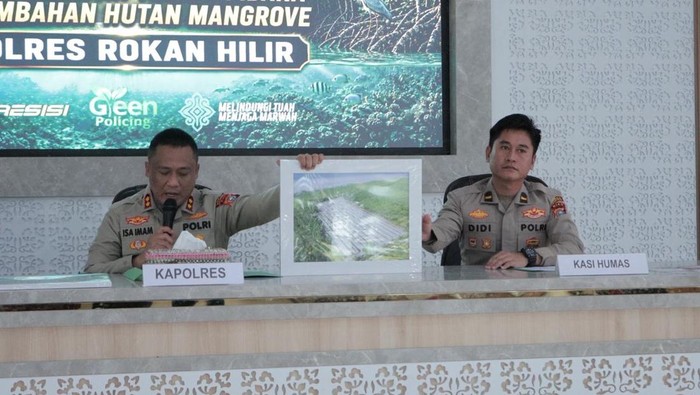 Polres Rohil mengungkap kasus perambahan hutan mangrove dan menetapkan seorang tersangka.