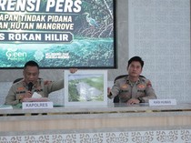 3 Hektare Hutan Mangrove Dibabat, Pria di Rohil Jadi Tersangka
