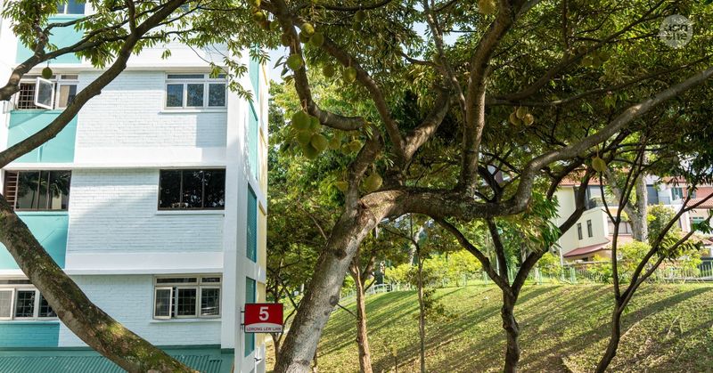 Ada 'Musim Durian' di Tengah Perumahan Singapura, Tapi Rasanya Bikin Kecewa Ada 'Musim Durian' di Tengah Perumahan Singapura, Tapi Rasanya Bikin Kecewa