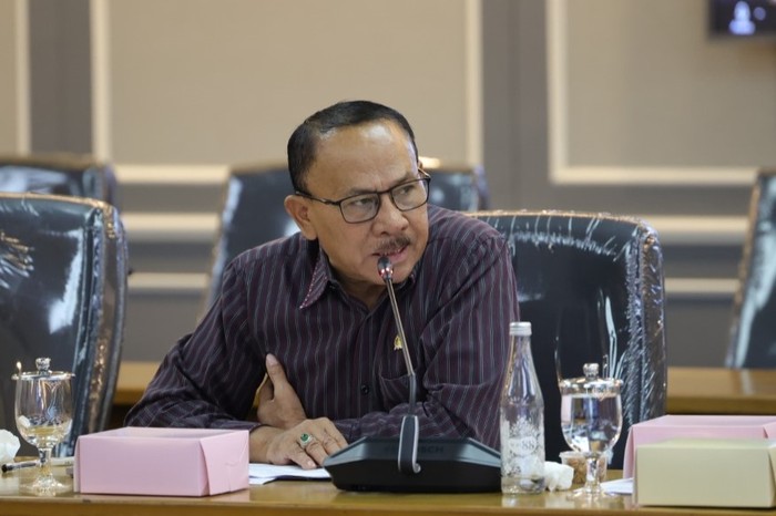 Anggota Komisi XIII Maruli Siahaan