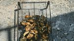 Seru! Asnawi Mangkualam Kulineran Minum Matcha hingga BBQ-an