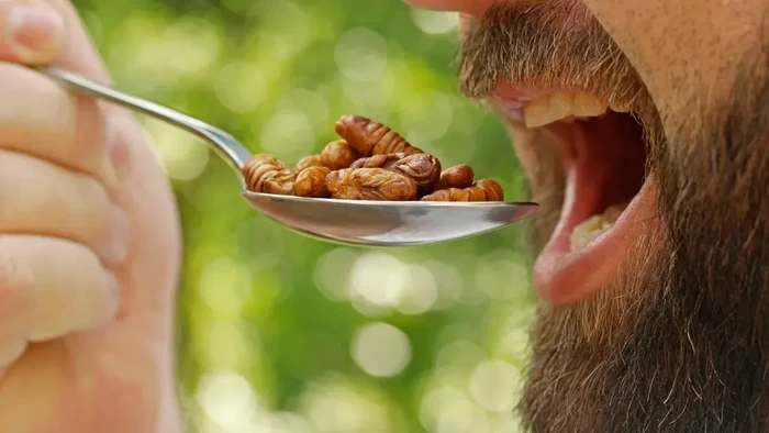 Dikira Bikin Jijik, Protein Bar Berbahan Serangga Justru Dipuji Rasanya