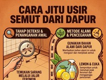Infografis: Dapur Diserang Semut? Begini Cara Jitu Basmi Biar Nggak Balik Lagi