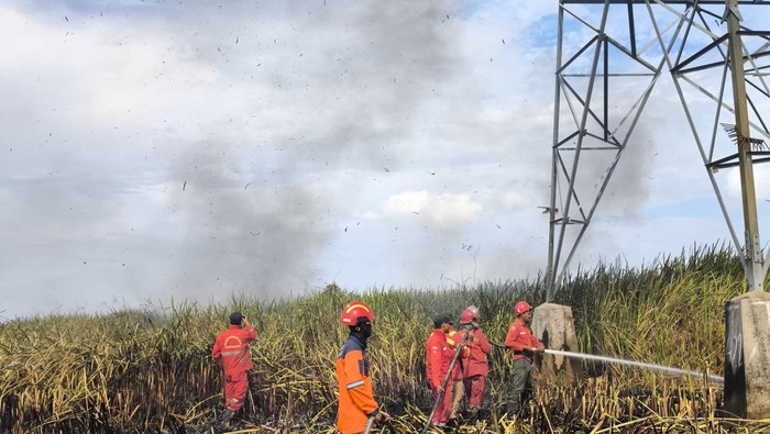 Karhutla di Ogan Ilir yang terbakar