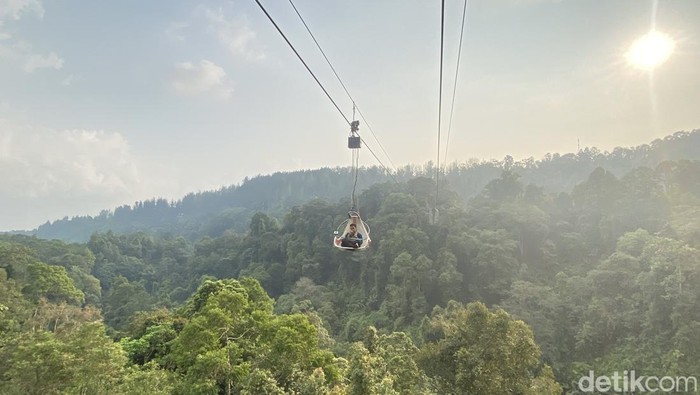 Keranjang sultan langit di Sukabumi.
