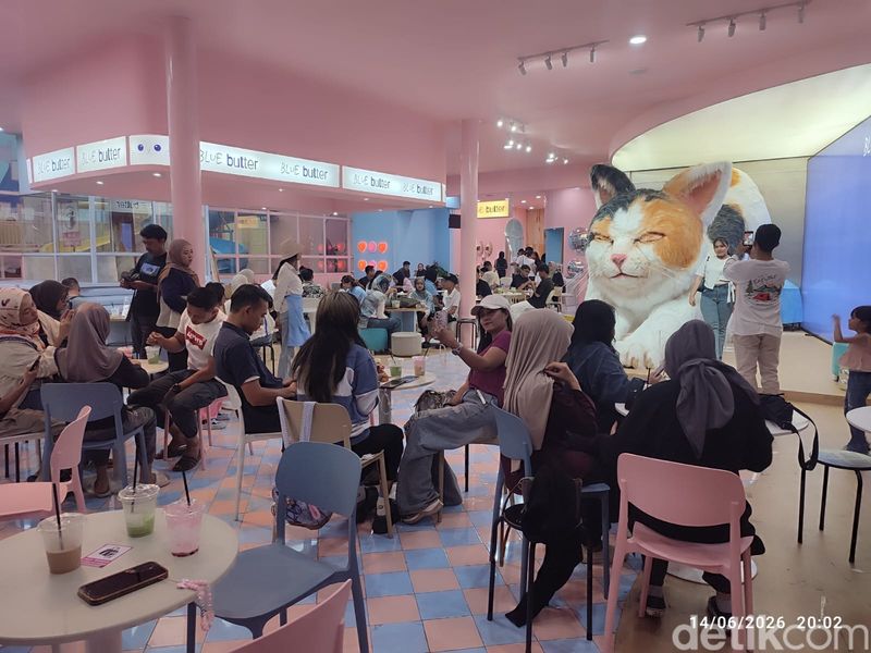 Kafe Blue Butter di Palagan, Yogyakarta, yang punya kucing raksasa bernama Elon.