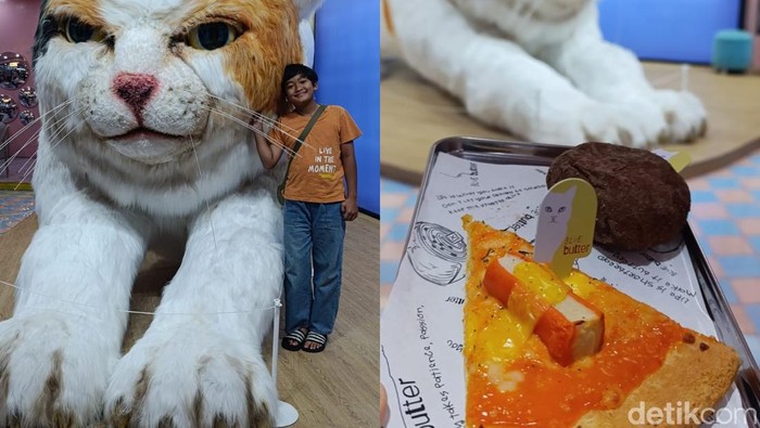 Kafe Blue Butter di Palagan, Yogyakarta, yang punya kucing raksasa bernama Elon.
