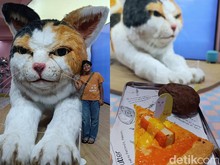Ketika Kucing Raksasa Lebih Dicari daripada Kopi dan Pastri