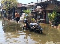 Sebulan Terendam Rob, Warga Tunggulsari Pati Butuh Bantuan Logistik